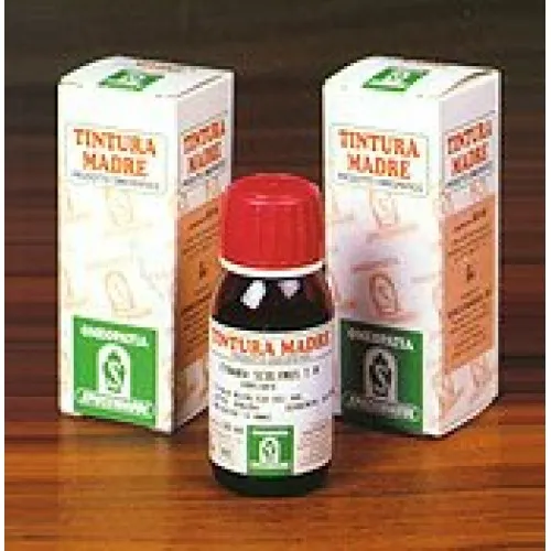 REGINA PRATI 27 50ML TM