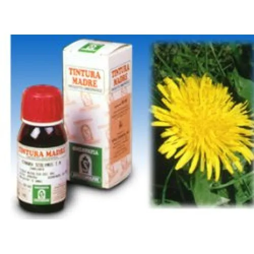 TARASSACO 28 50ML TM SPECCH