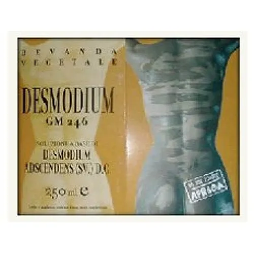 DESMODIUM GM246 250ML GOCCE