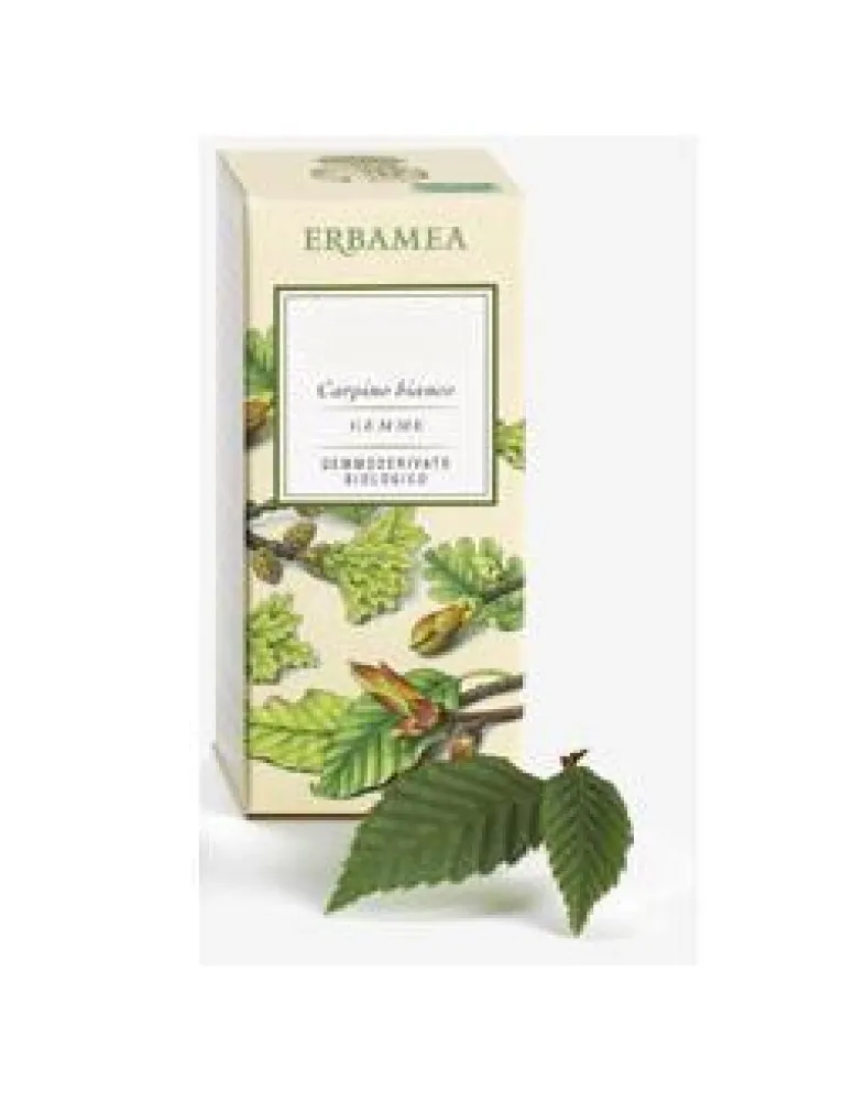 FICUS CARICA Gemme EBM