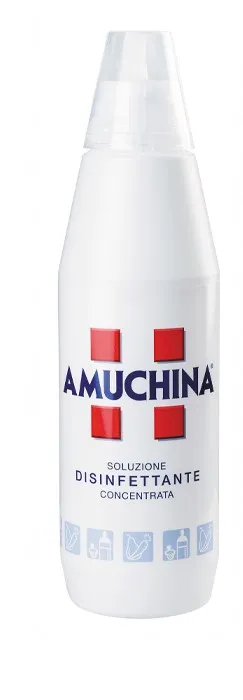 AMUCHINA 1 DINSIFETTANTE 1000 ML