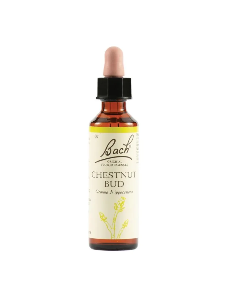 Chestnut Bud Bach Original Flower Essences 20ml