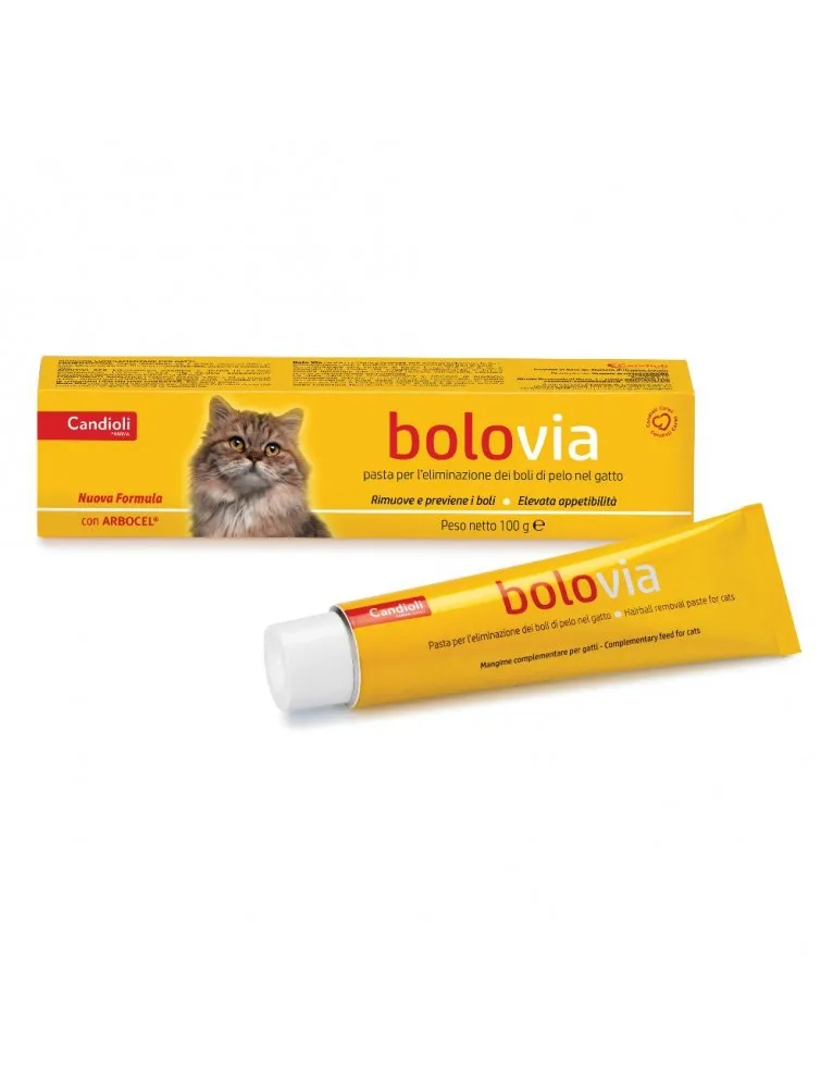 Bolo Via Pasta Gatti 100g